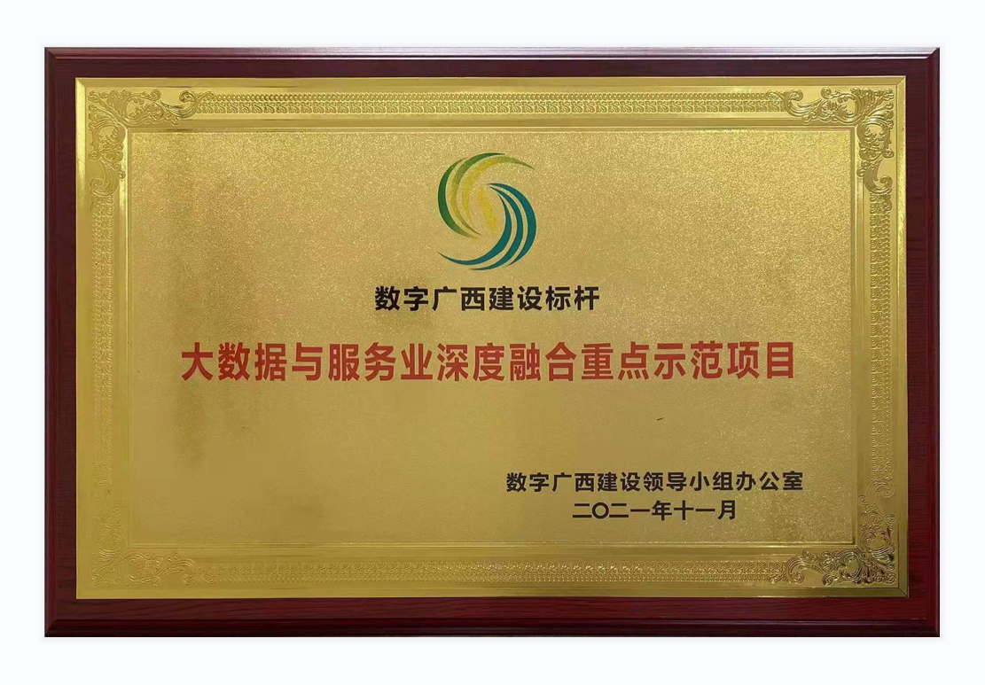 數(shù)字廣西建設標桿 大數(shù)據(jù)與服務業(yè)深度融合重點示范項目.png